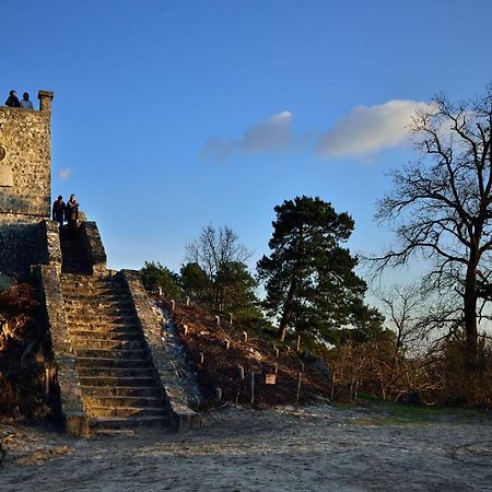 Le Denecourt - A Deux Pas De La Gare Et De La Foret De Fontainebleau Avon Buitenkant foto